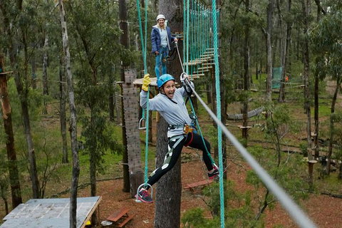 Busselton High Ropes And Zipline Adventure - Mackay Tourism 0