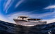 Ningaloo Whale Shark Swim On A Powerboat - thumb 1