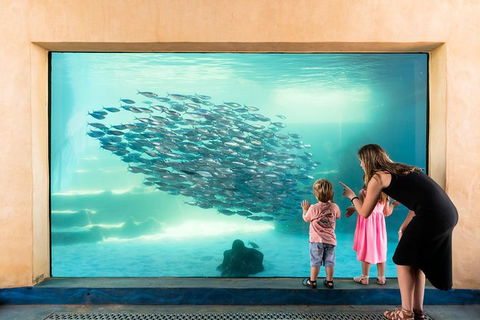 AQWA The Aquarium Of Western Australia: General Admission - Mackay Tourism 0