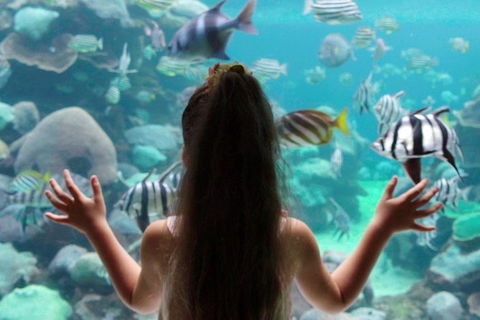 AQWA The Aquarium Of Western Australia: General Admission - Mackay Tourism 1
