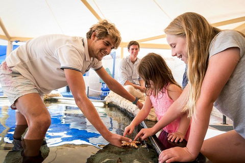 AQWA The Aquarium Of Western Australia: General Admission - Mackay Tourism 5