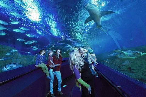 AQWA The Aquarium Of Western Australia: General Admission - Mackay Tourism 14
