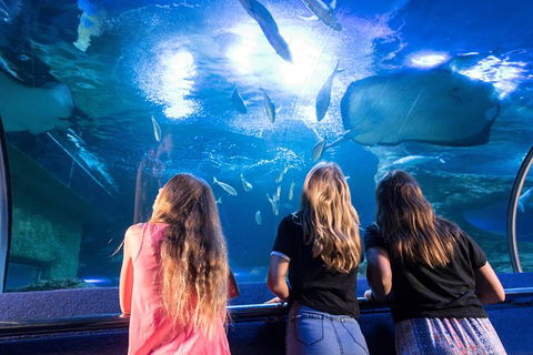 AQWA The Aquarium Of Western Australia: General Admission - Mackay Tourism 7