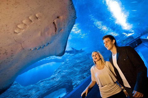 AQWA The Aquarium Of Western Australia: General Admission - Mackay Tourism 6