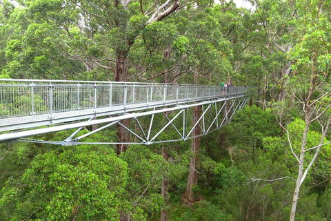 Albany Southwest Wilderness Day Tour - Fly From Perth - Mackay Tourism 0
