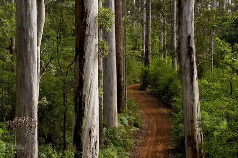 Albany Southwest Wilderness Day Tour - Fly From Perth - Mackay Tourism 6