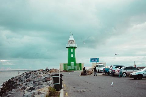 Penguin Island And Fremantle - Canoe, Chocolate & Coffee - Mackay Tourism 1