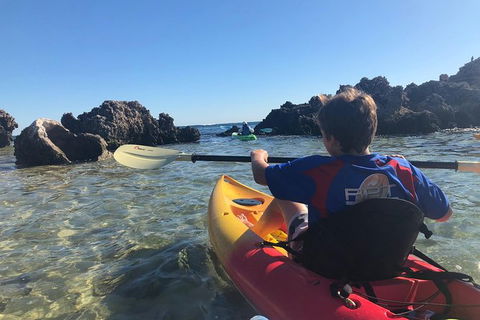 Penguin Island And Fremantle - Canoe, Chocolate & Coffee - Mackay Tourism 2