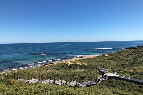 Penguin Island And Fremantle - Canoe, Chocolate & Coffee - Mackay Tourism 3