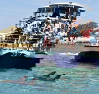Mandurah Dolphin and Scenic Marine Cruise - Mackay Tourism