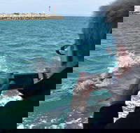 Mandurah Dolphin Island Adventure - Mackay Tourism
