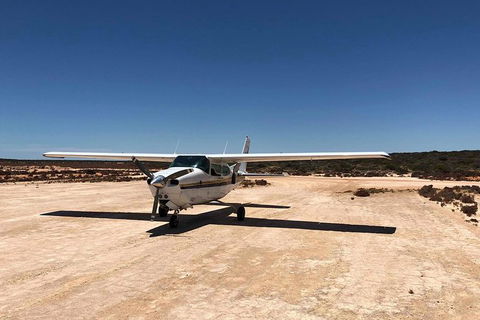 Kalbarri Gorges & West Coast - Ground & Air Tour - Mackay Tourism 6