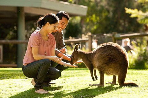 Very Best Of Perth Tour - Wildlife Park & City Highlights Tour - Mackay Tourism 0