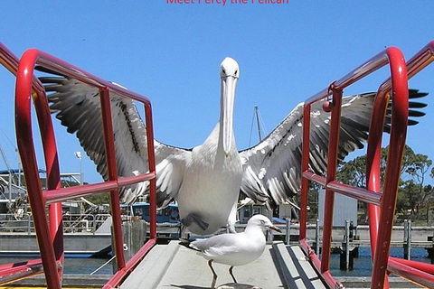 Kalgan Queen Scenic Cruises A Four Hour Sheltered Water Wildlife Tour Daily Fun. - Mackay Tourism 1