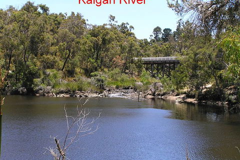 Kalgan Queen Scenic Cruises A Four Hour Sheltered Water Wildlife Tour Daily Fun. - Mackay Tourism 3