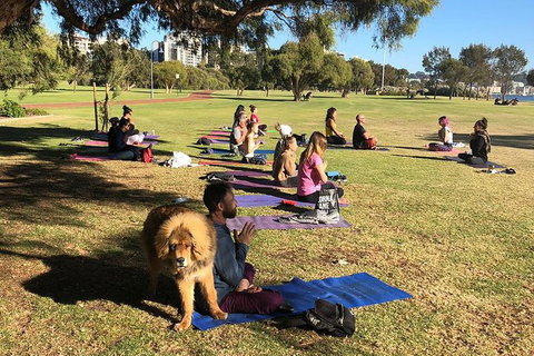 Yoga In The Park - Mackay Tourism 6