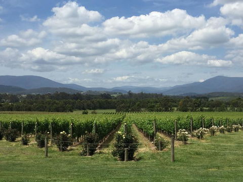 Yarra Valley Wine And Winery Tour From Melbourne - Mackay Tourism 5