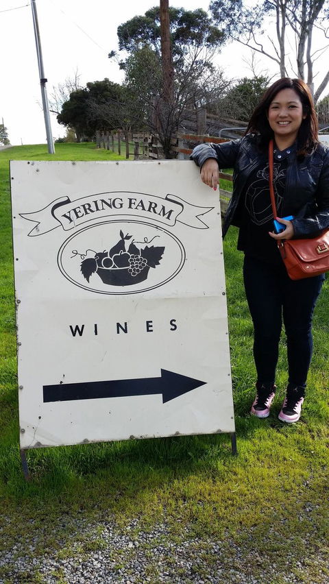 Yarra Valley Wine And Winery Tour From Melbourne - Mackay Tourism 18