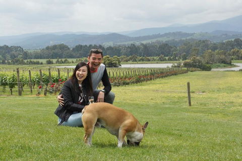 Yarra Valley Wine And Winery Tour From Melbourne - Mackay Tourism 6