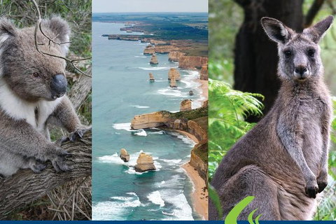 2 Day Great Ocean Road Tour From Melbourne - Mackay Tourism 15