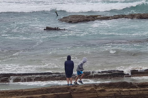 2 Day Great Ocean Road Tour From Melbourne - Mackay Tourism 4