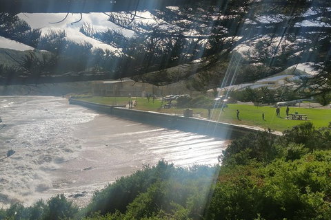 2 Day Great Ocean Road Tour From Melbourne - Mackay Tourism 20