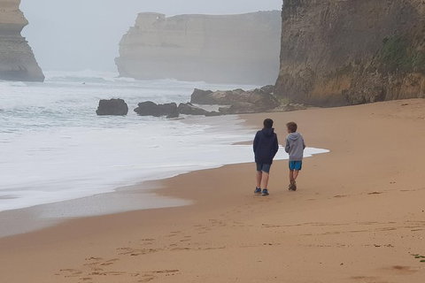 2 Day Great Ocean Road Tour From Melbourne - Mackay Tourism 23