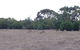 Koalas And Kangaroo In The Wild Tour From Melbourne - thumb 11