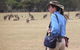 Koalas And Kangaroo In The Wild Tour From Melbourne - thumb 1