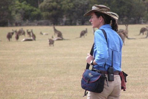 Koalas And Kangaroo In The Wild Tour From Melbourne - Mackay Tourism 30
