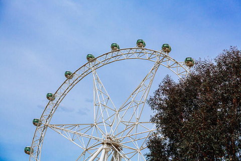 City Sightseeing Melbourne Hop-On Hop-Off Bus Tour - Mackay Tourism 8