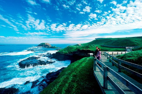 Phillip Island Penguin Parade Express Tour From Melbourne - Mackay Tourism 8