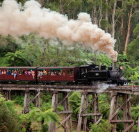Melbourne Combo Great Ocean Road Puffing Billy Moonlit Sanctuary  Penguins