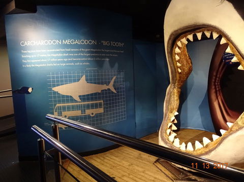 SEA LIFE Melbourne Aquarium Admission Ticket - Mackay Tourism 10