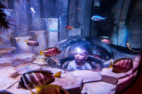 SEA LIFE Melbourne Aquarium Admission Ticket - Mackay Tourism 0