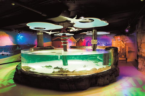 SEA LIFE Melbourne Aquarium Admission Ticket - Mackay Tourism 27
