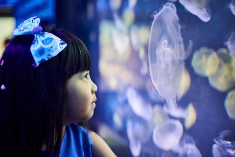 SEA LIFE Melbourne Aquarium Admission Ticket - Mackay Tourism 17