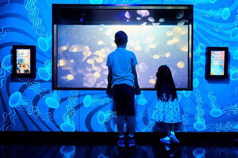 SEA LIFE Melbourne Aquarium Admission Ticket - Mackay Tourism 18