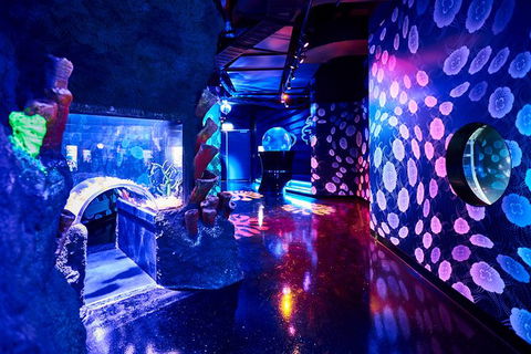 SEA LIFE Melbourne Aquarium Admission Ticket - Mackay Tourism 13
