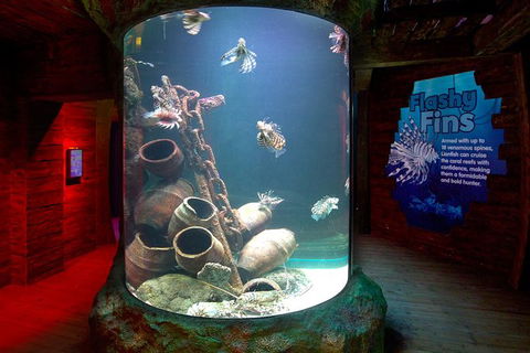 SEA LIFE Melbourne Aquarium Admission Ticket - Mackay Tourism 23