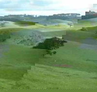 Day Tour of Phillip Island  Surrounding Region - Mackay Tourism