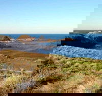 Phillip Island Walking  Bird Watching Tour - Mackay Tourism