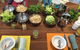 Indian Cooking Master Class - thumb 1