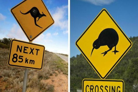 Aroha Tangata Australia And New Zealand 20 Day - Mackay Tourism 0