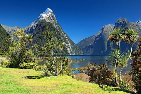 Aroha Tangata Australia And New Zealand 20 Day - Mackay Tourism 1