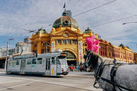A Full Day In Melbourne With A Local: Private & Personalized - Mackay Tourism 9