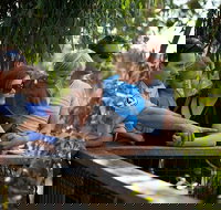 Phillip Island 3 Park Pass Penguin Parade Koala Conservation Centre and Penguin Parade Koala ConservationHeritage Farm - Mackay Tourism