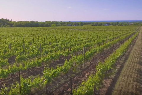 Macedon Ranges Small Group Wine Tour With 2 Course Lunch And Morning Tea - Mackay Tourism 1