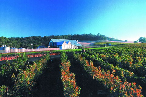 Macedon Ranges Small Group Wine Tour With 2 Course Lunch And Morning Tea - Mackay Tourism 4