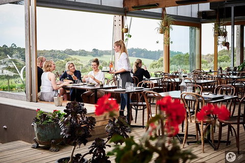 Montalto Vineyard: Mornington Peninsula Discovery Wine Tasting And Lunch - Mackay Tourism 4